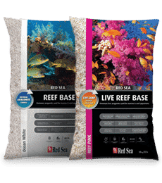 red sea live reef base for reef and marine aquarium