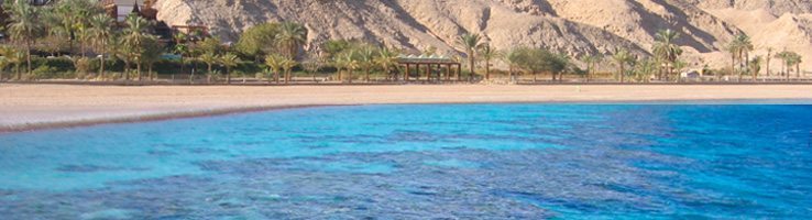 738X200 Red Sea salts Red Sea view banner