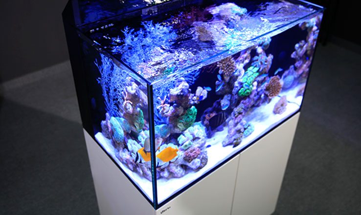 Red Sea MAX E-Series - Fully REEF-SPEC reef aquarium systems