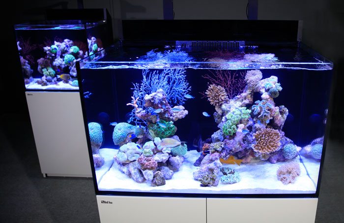 Red Sea MAX E-Series - Fully featured REEF-SPEC coral reef