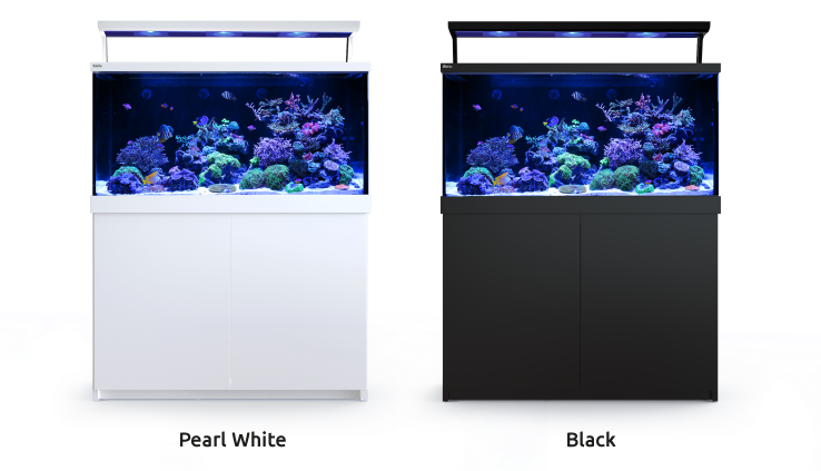 90L 2-Feet Long Aquarium Fish Tank with Time & Temperature - China