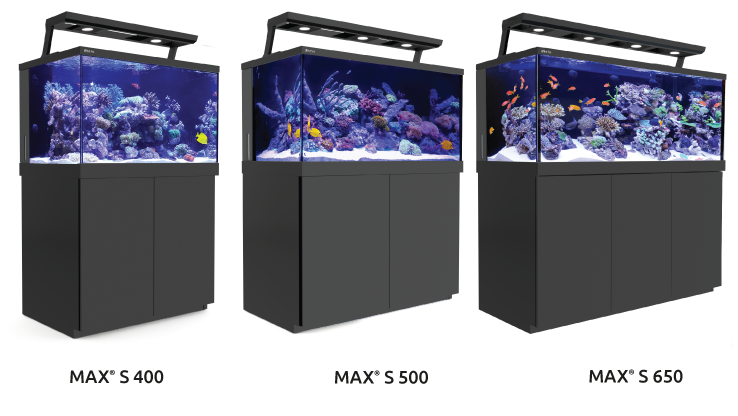 90L 2-Feet Long Aquarium Fish Tank with Time & Temperature - China