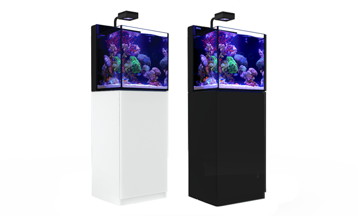 chef Onbemand Normaal Red Sea MAX NANO - Fully featured 75 litre/20 gal, Plug & Play reef system