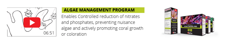 video-2-RCP-Page-Algae-NEW-3