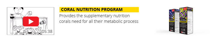 video-3-RCP-Page-nutrition-NEW-2