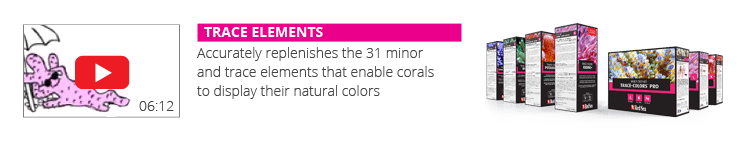 video-4-RCP-Page-coloration--NEW1