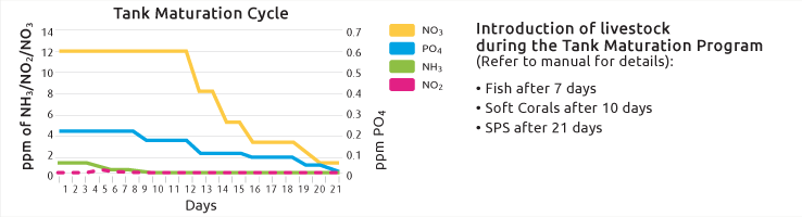 tank-maturation-cycle