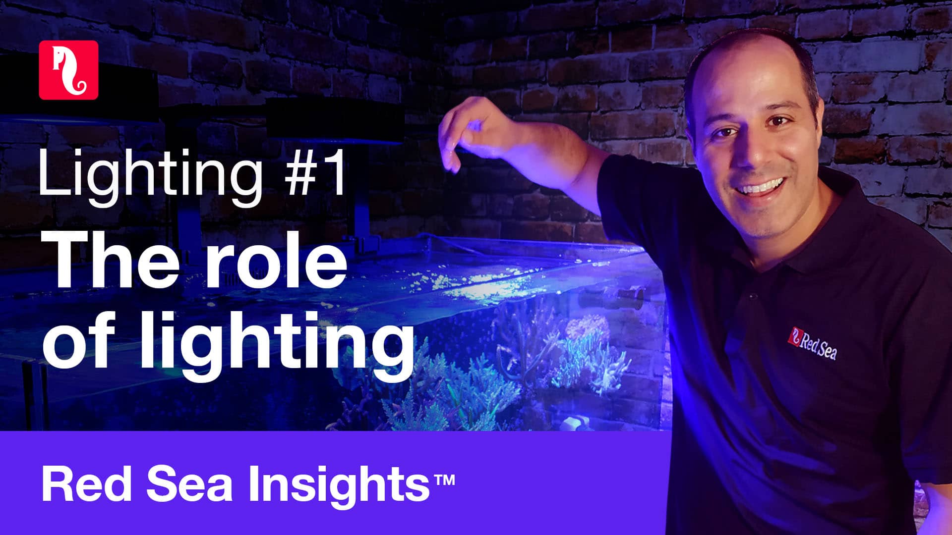 Episode #1. Four main reasons why lighting is so important - Red Sea