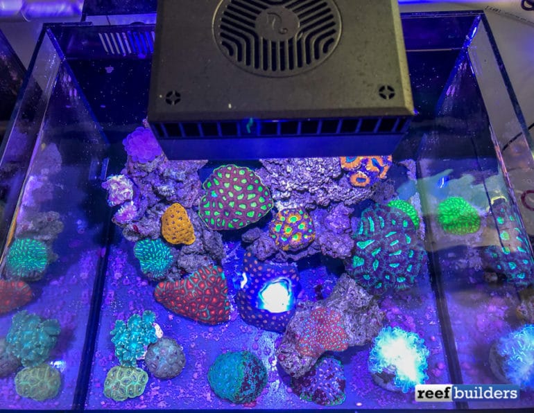 ReefLED - smart, safe, efficient reef lighting - Fully utilized by 