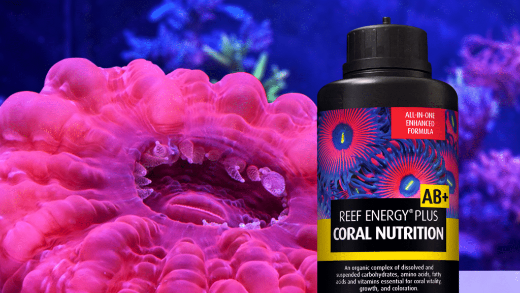 Coral Nutrition - Reef Energy Plus