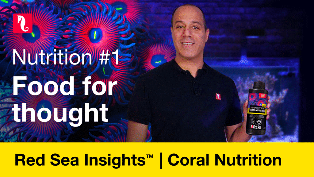 Coral nutrition - food for thought