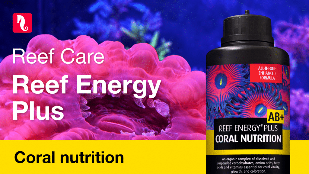 Reef Energy Plus – A superfood that’s super easy to use!