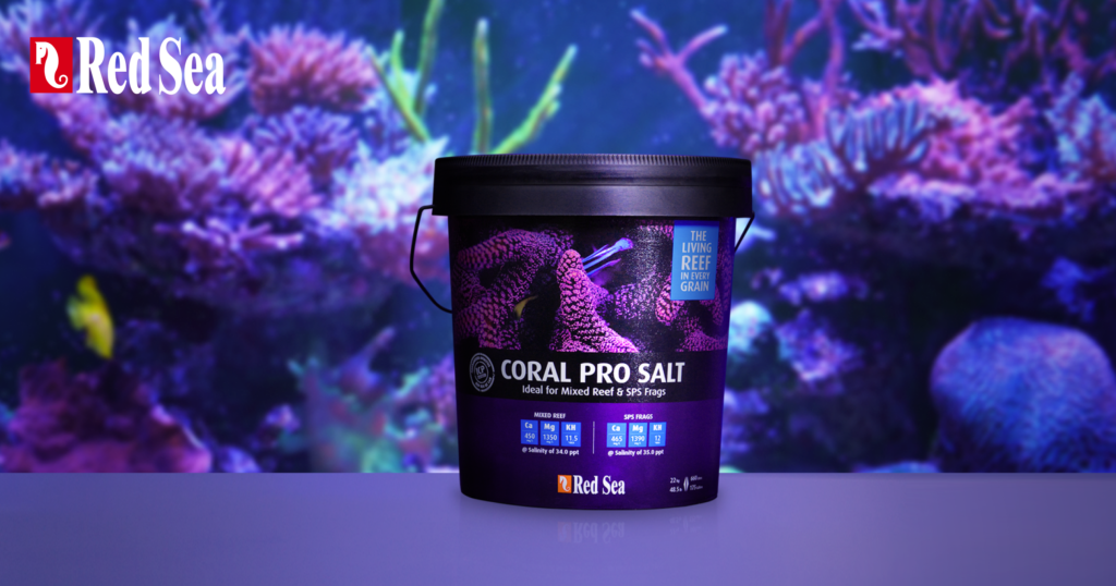 Coral Pro Salt | Premium grade, high Alkalinity - Red Sea