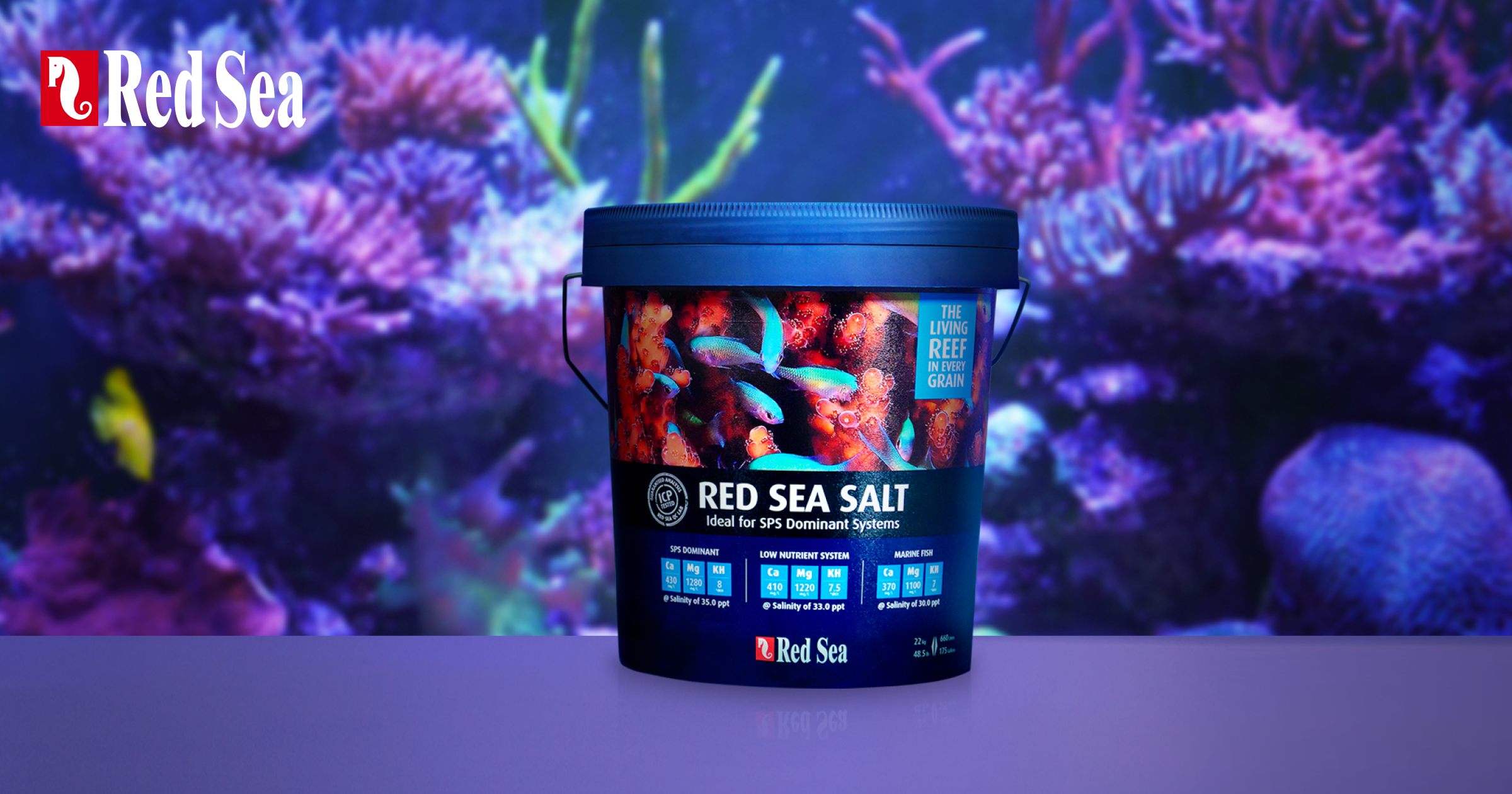 Red Sea レッドシー　観賞魚　サンゴ　水槽　アクアリウム