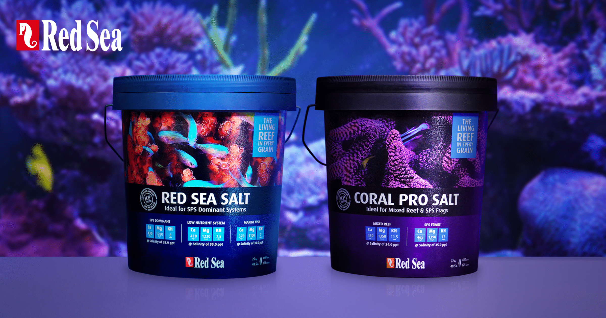 Red Salts - Which reef is best for tank? - Red