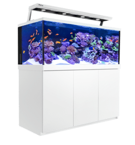 Red sea fashion reefer replacement parts