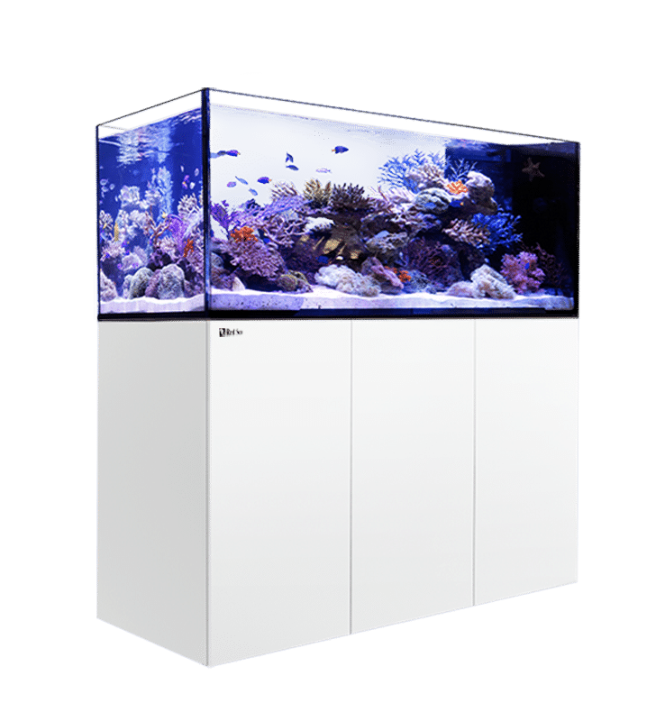 REEFERP.png