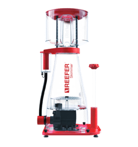 Red Sea Self Support