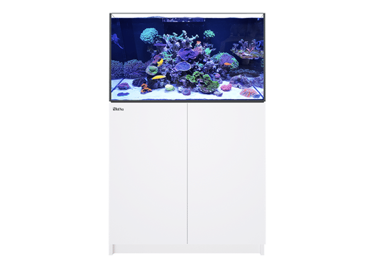 Red Sea Self Support Product Reefer-250-v3a Faq