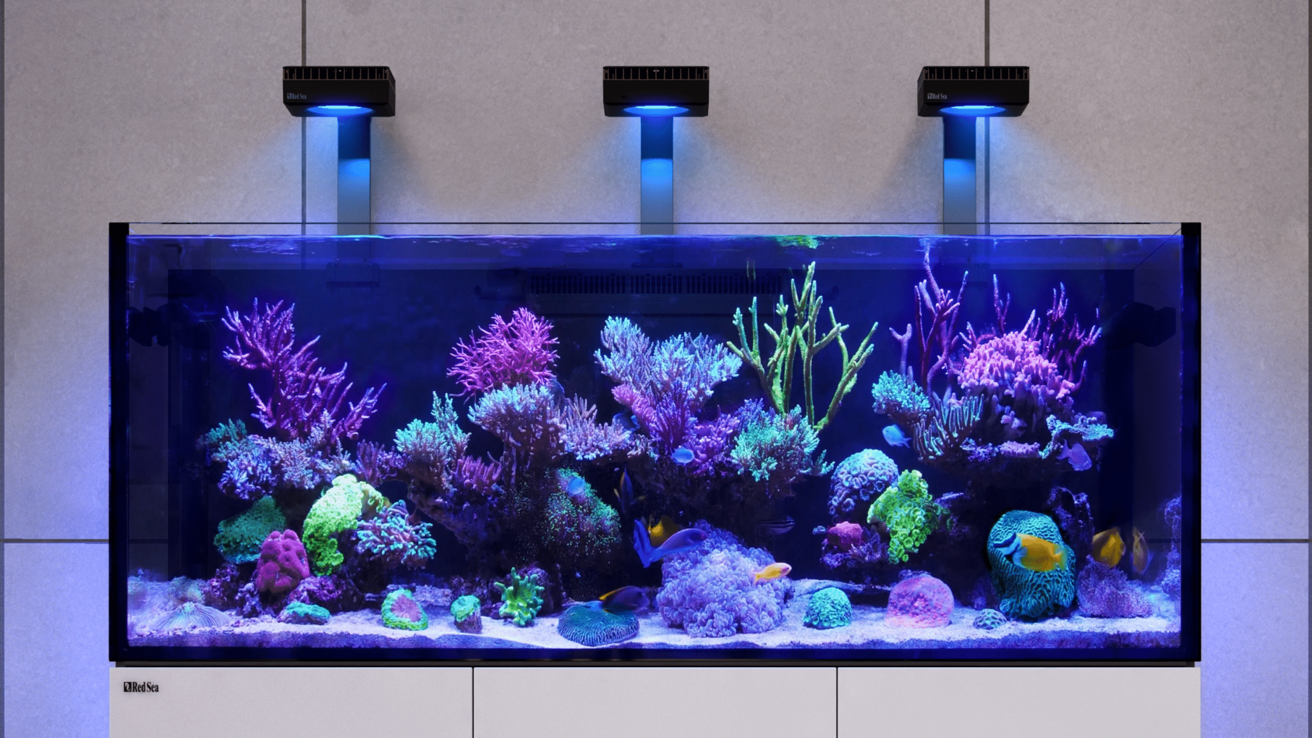 Plug & Play smart aquarium systems