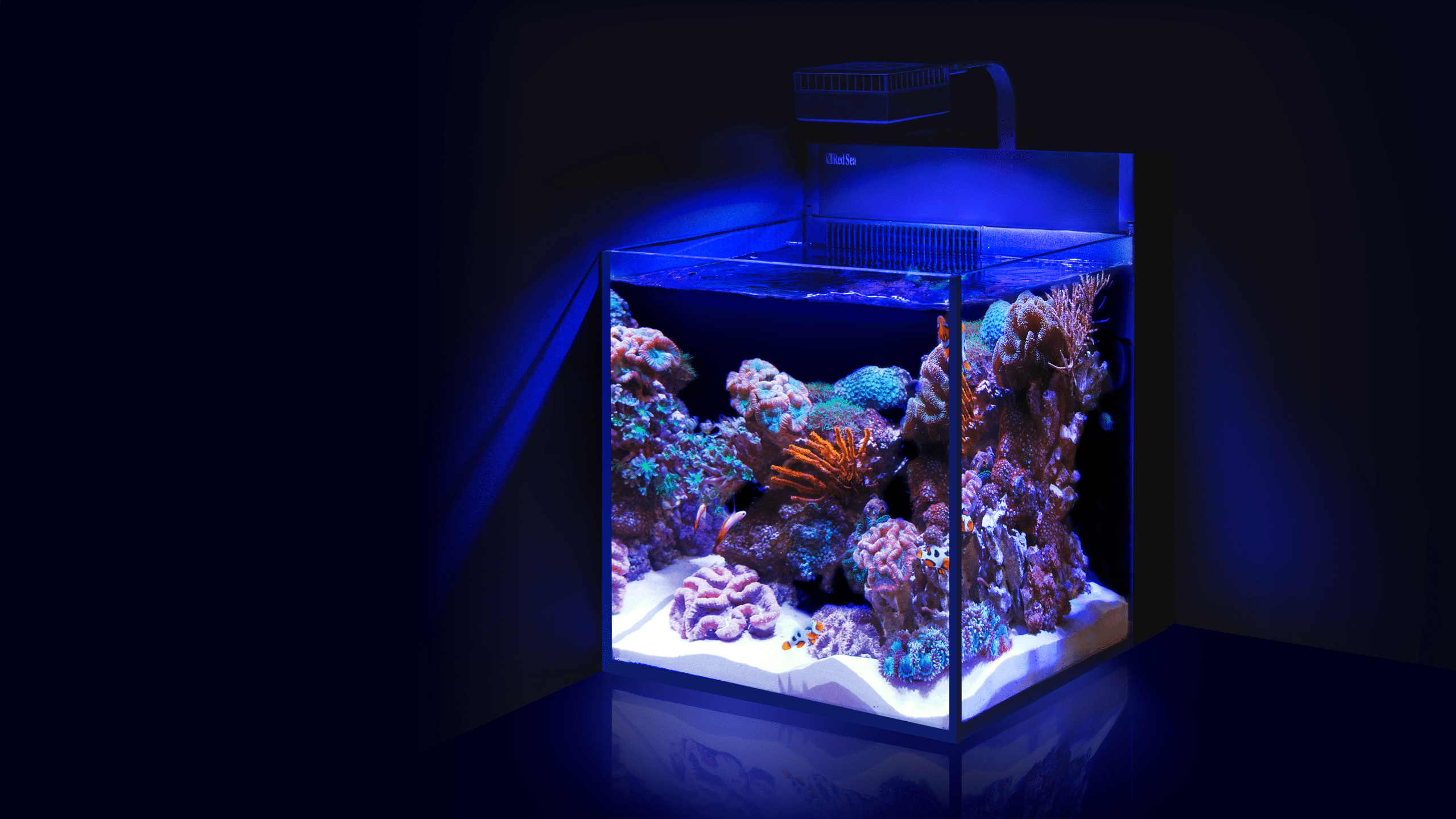 geïrriteerd raken Oswald Groen Red Sea MAX NANO Cube & Peninsula - Plug & Play All-in-one reef tanks