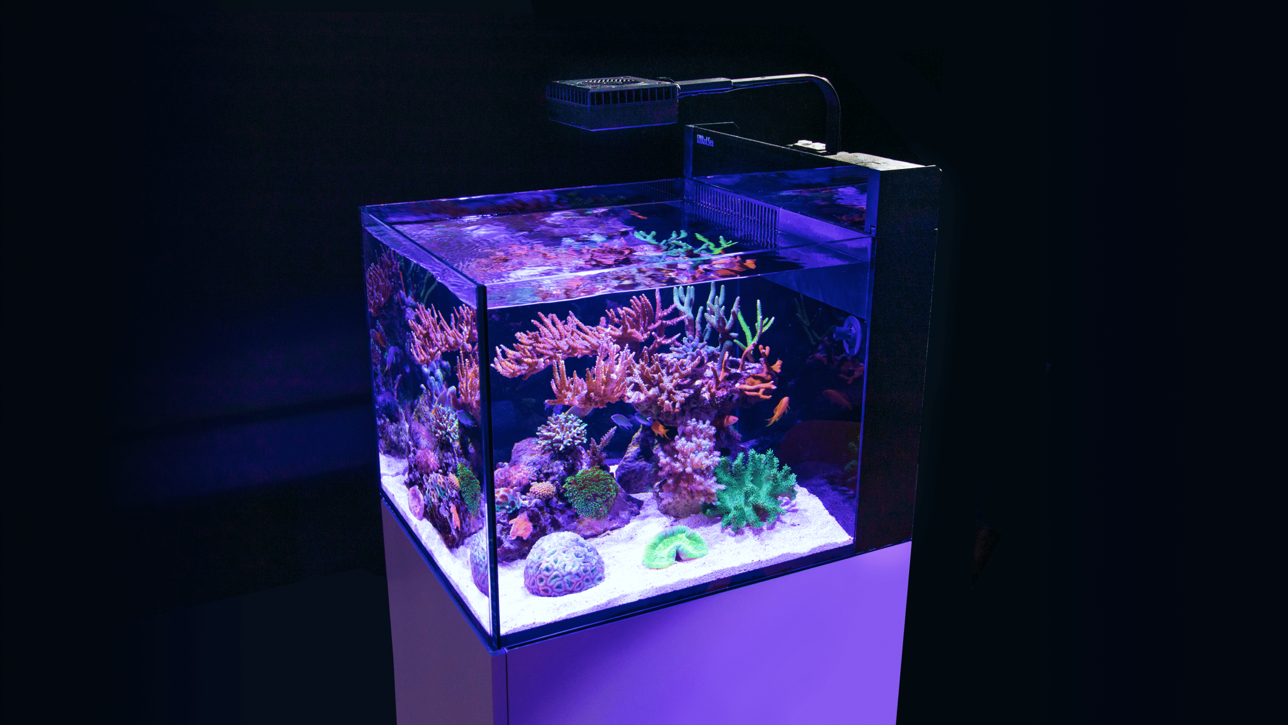 chaos val Oefenen Red Sea MAX NANO Cube & Peninsula - Plug & Play All-in-one reef tanks