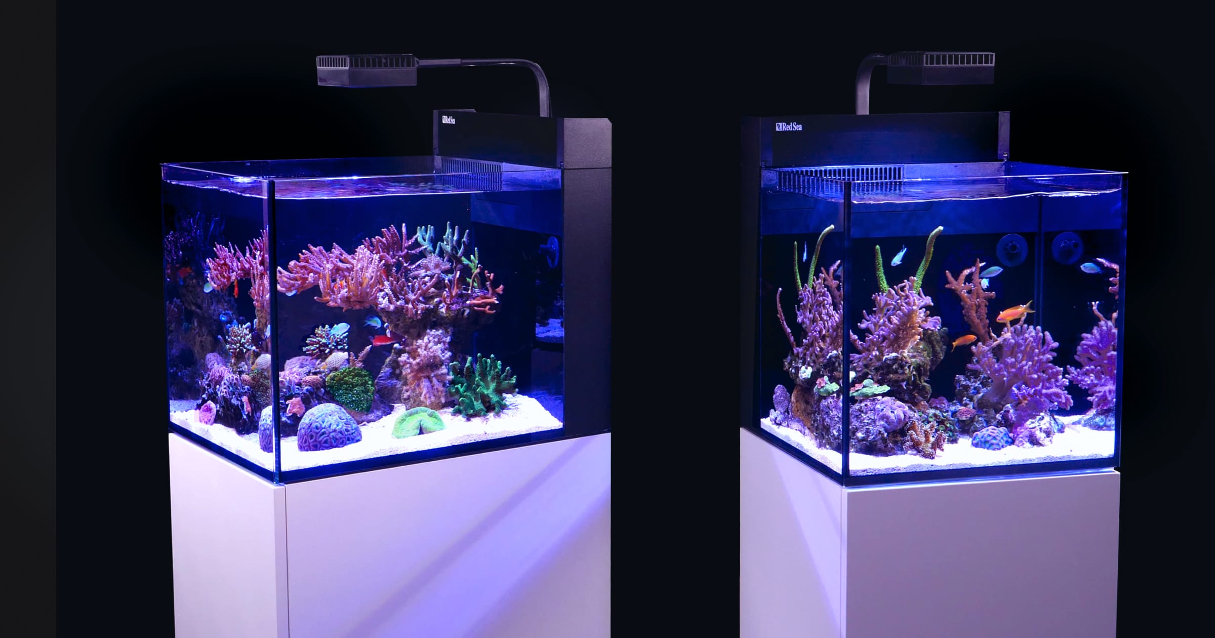 Red Sea MAX NANO Cube & - Plug & All-in-one reef tanks