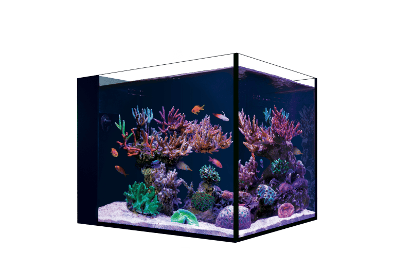 Red Sea Self Support Product Desktop-cube Files