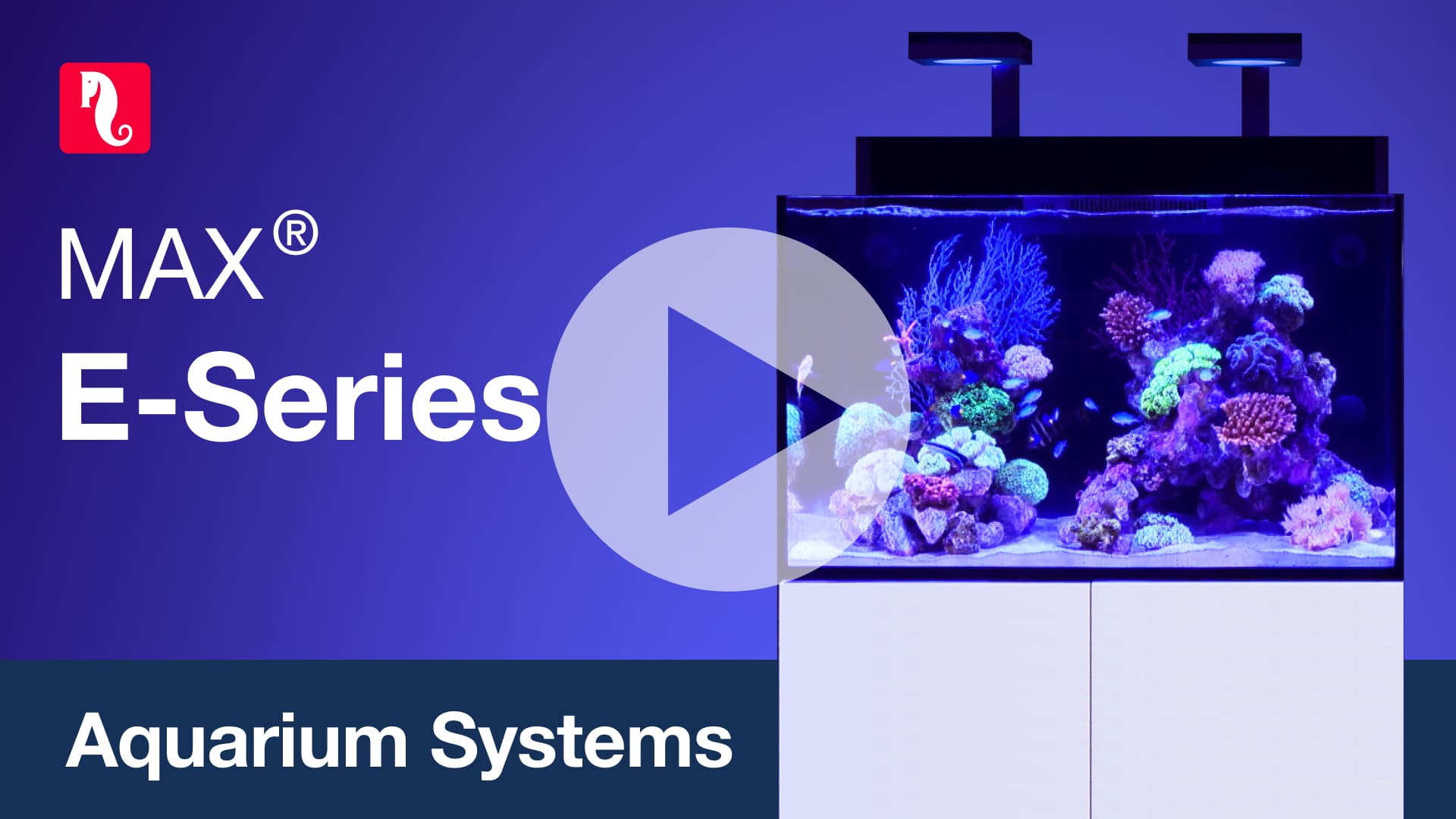 Red Sea MAX E-Series - Fully REEF-SPEC reef aquarium systems