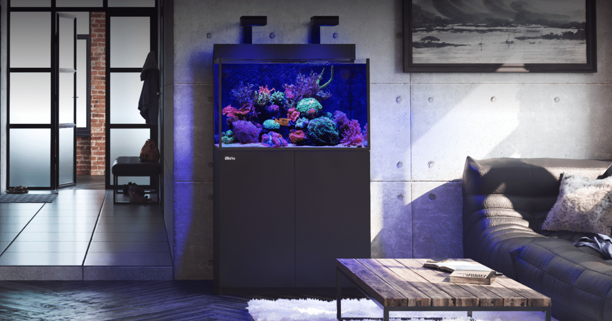 Red Sea MAX-E Series - Plug & Play All-in-one reef tanks