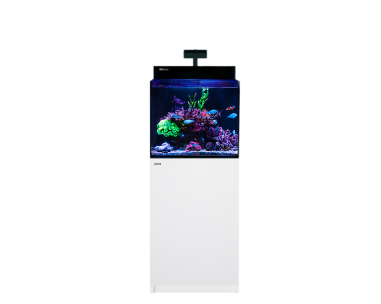 Red Sea Self Support Product Max-nano-g2-xl Faq