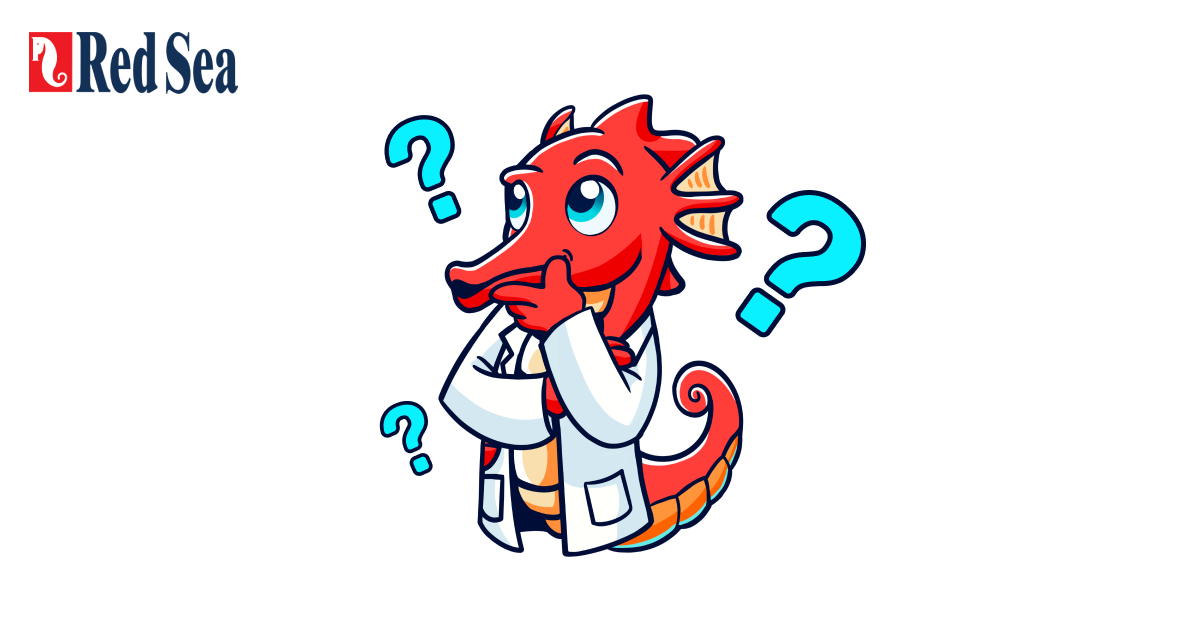 Red Sea Self Support Product Reef-energy-plus Faq