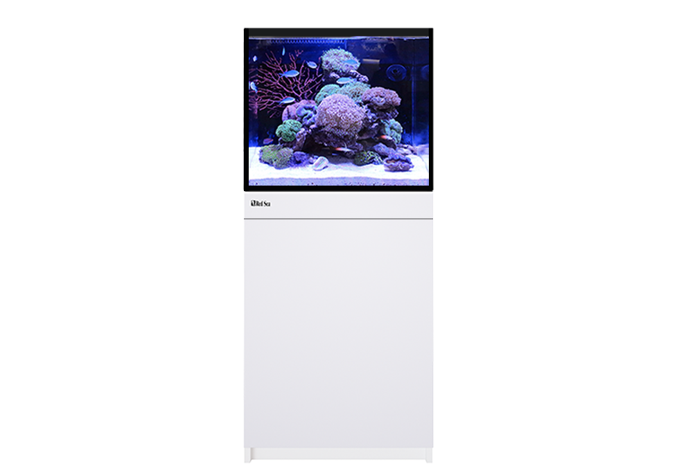 Red Sea Self Support Product Files